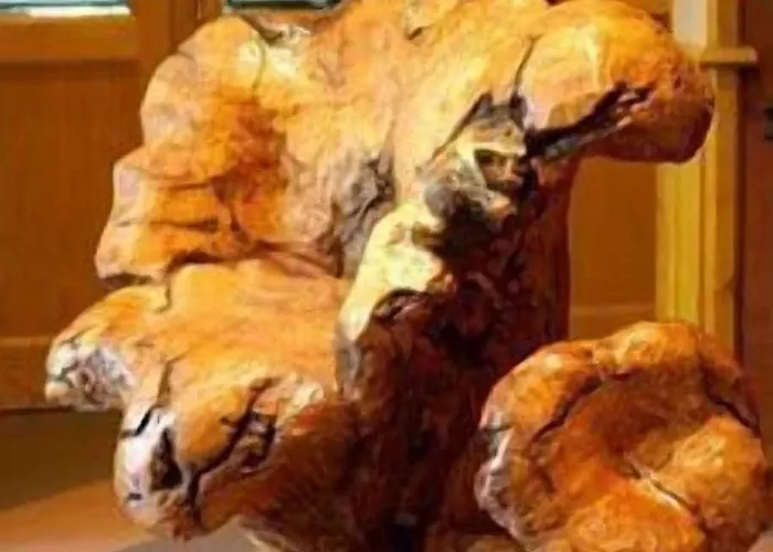 Le Allier 4* Alleyras