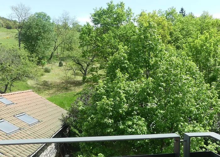 Le Allier 4* Alleyras